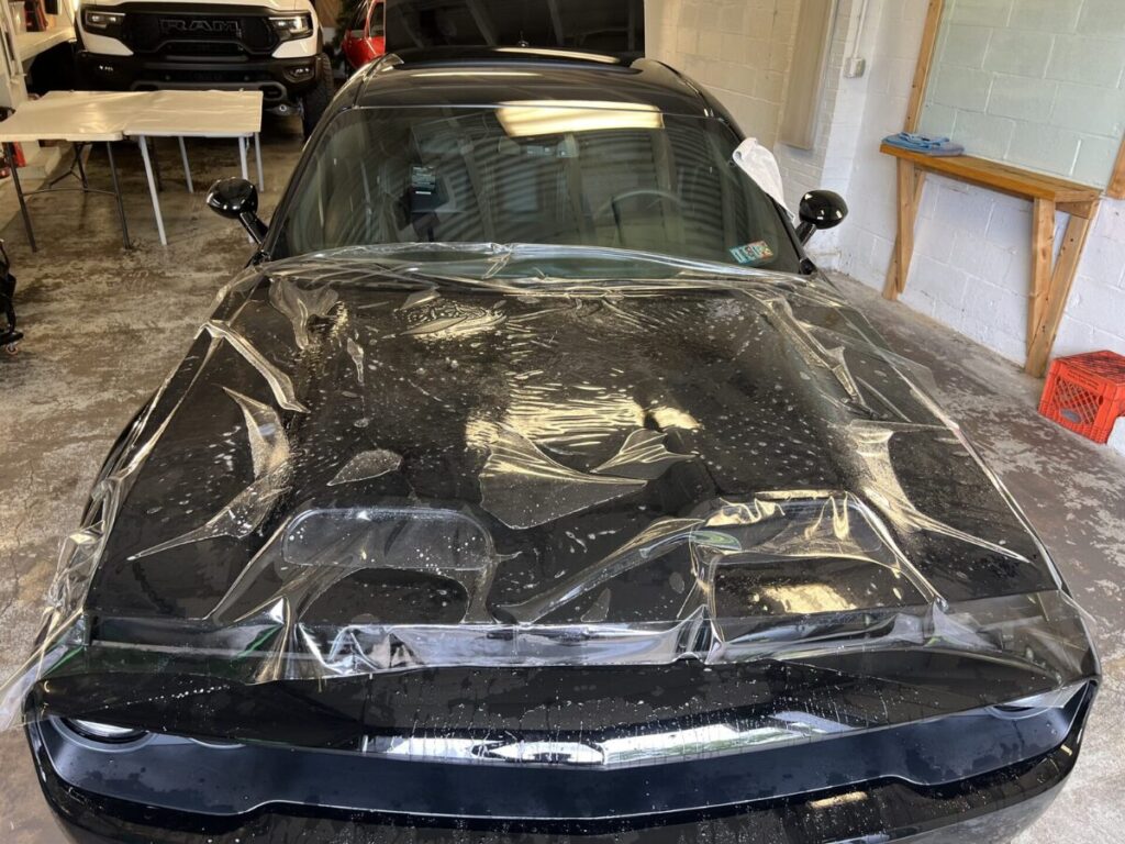 paint protection film